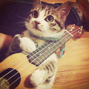 白俄罗斯18岁美女抠逼老板性感抠逼逼大白屁股pp
