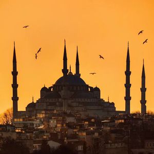 白俄罗斯18岁美女抠逼老板性感抠逼逼大白屁股pp
